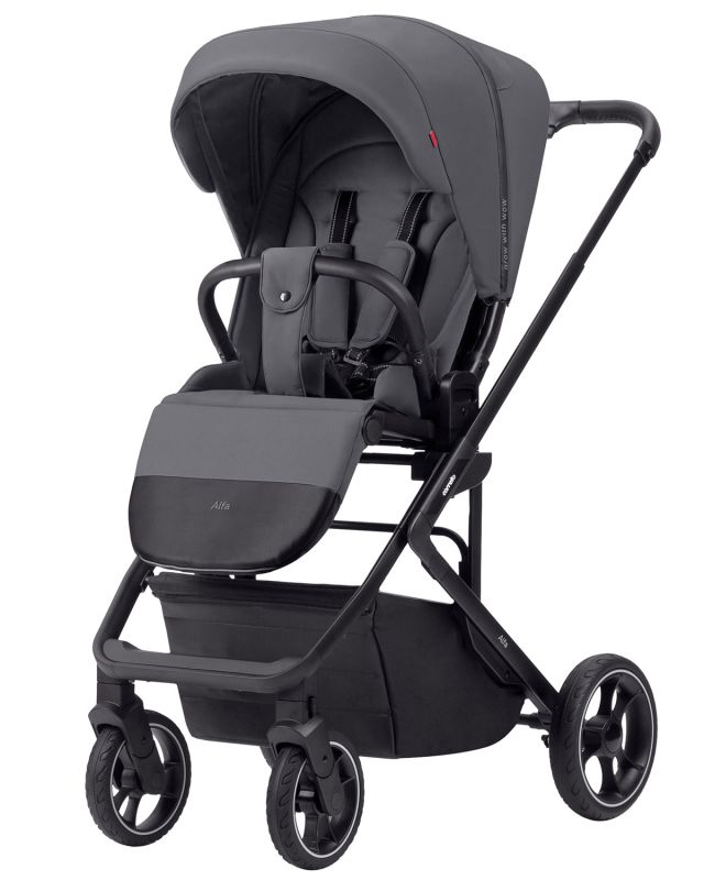 Коляска прогулочная CARRELLO Alfa 2023 CRL-5508 Graphite Grey