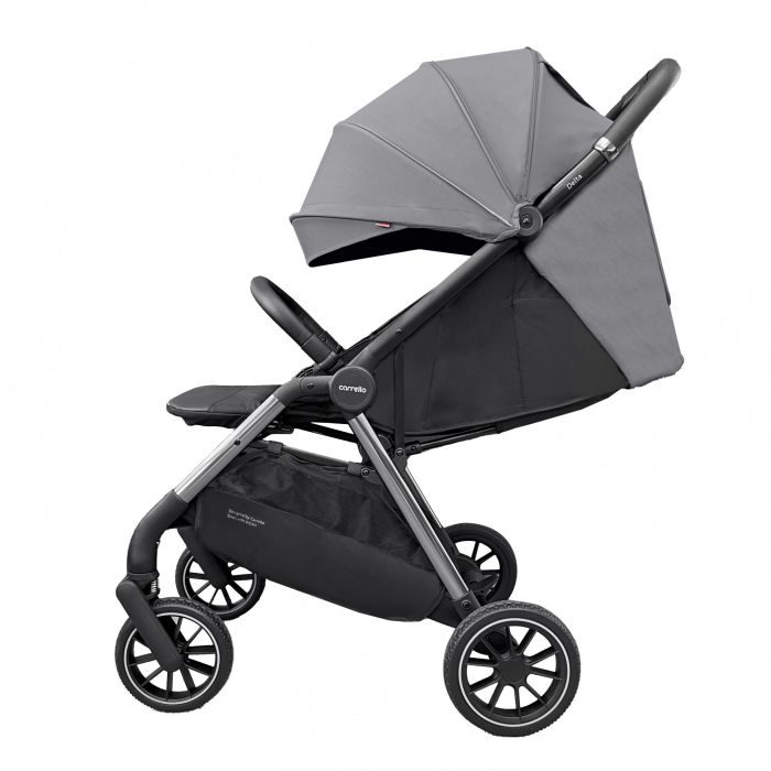 Коляска прогулочная CARRELLO Delta Flint Grey