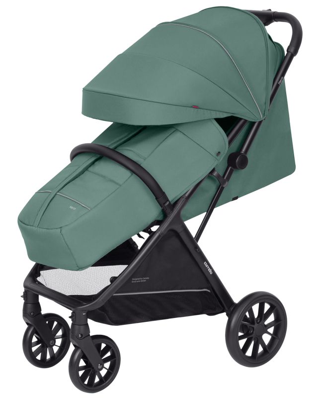 Коляска прогулочная Carrello Nero Pear Green