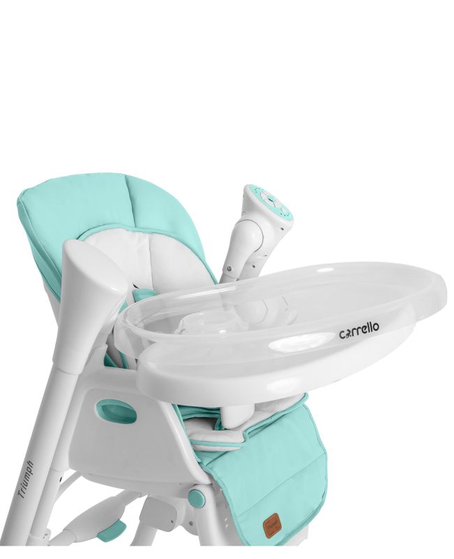 Стульчик-качели CARRELLO Triumph CRL-10302 Turquoise / Mint Green /1/ MOQ